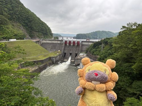 宮城県　釜房ダム　下に３つあるコンジットゲートの真ん中から放流してたぶも！近くで見るとすんごい水量で、迫力満点ぶもー😤
