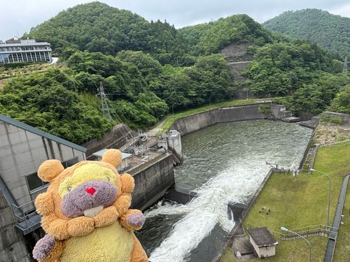 宮城県　釜房ダム　ここが、減勢工（げんせーこー）ぶも！すごい勢いで出てきた水がジャンプして、弱くなって、川に行く！ぶもー😤