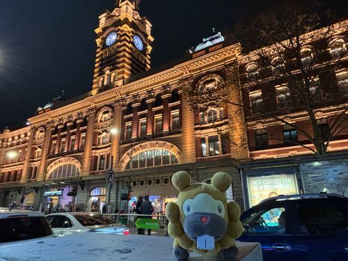 めるぼるん、めっちゃ都会ぶも！びっくりしちゃった！これは駅！かっこいい！息は白いけど、てぶくろはいらんくらい！ぶもっ🥺