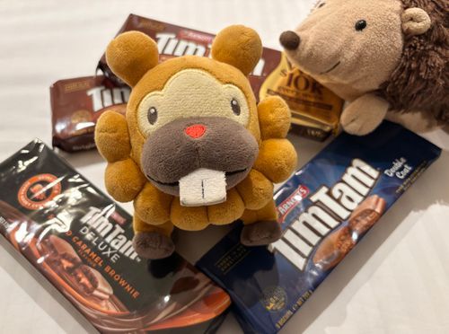 これは、てぃむたむ！なんかおーすとらりあのお菓子らしい！色んな味あった！てきとーに買ったぶも！おうち帰ったらたべるぶもっ🥺