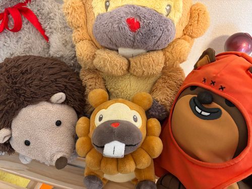 ぶじきこく！ただいまぶも！かえりのひこーきめちゃすいてて、こぶもの席もあった！シートベルトした！きないしょくくったぶもっ🥺