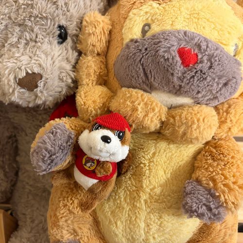 ぶもんちに新しいお友達がやってきた！バッキーくん！アメリカのお友達が送ってくれたうまいもんぱっくにまぎれこんでたぶもー😤