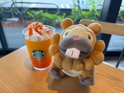 スタバぶもっ！オレンジとマンゴーのやつぶも！ふわもこのお友達がのんでて、うらやましかった！甘くてじゅーしー！うまいぶもっ🥺