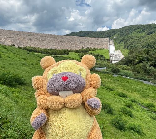 福島県　摺上川ダム　越流してるとききつけて、かけつけたぶも！遠いけど、右の導流部に白くお水が流れてる！ありがてえ！ぶもー😤
