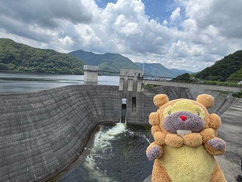福島県　摺上川ダム　洪水吐ぶも！越流部がたまらん！ぐんにょりしててめちゃかっくいい！固さの中に、やらかさも感じるぶもー😤