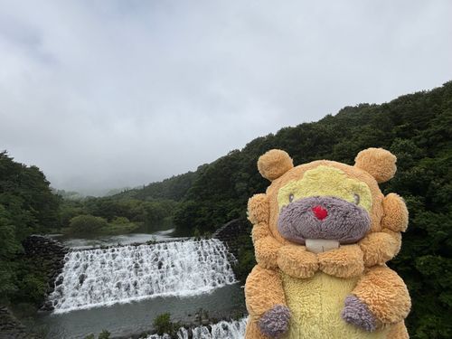 宮城県　横川砂防ダム　つりばしの上から砂防ダムが見えるぶも！石積みでめちゃきれい！お天気よいときにゆっくり来たいぶもー😤