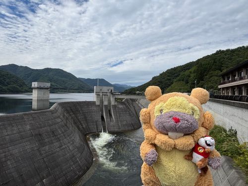 福島県　摺上川ダム　ちょい前にすんごく似た写真とーこーした！まちがいさがしみたいぶも！今回も越流しててありがてーぶもー😤