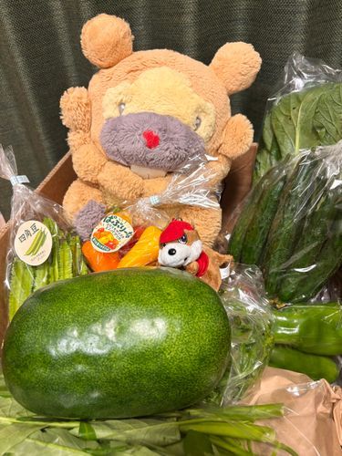 のーかのお友達が、野菜とお米送ってくれたぶも！めっちゃいいやつぶも！はじめてのお野菜もある！しばらくお野菜ばっか食うぶもー😤