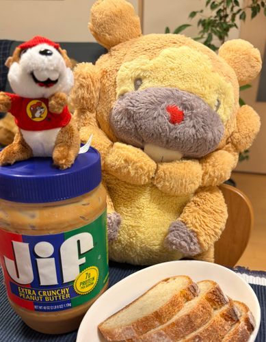 バッキーくんと同じタイミングでぶもんちに来たピーナッツバター！うまいけど…でかい！1キロごえ！くってもくってもへらんぶもー😤