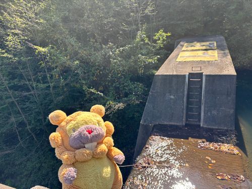福島県　高湯第1ダム堰堤　温泉街の砂防ダム！右の池に、イワナがすんでるぶも！こんなとこまで近づけるの、さいきょー！ぶもー😤