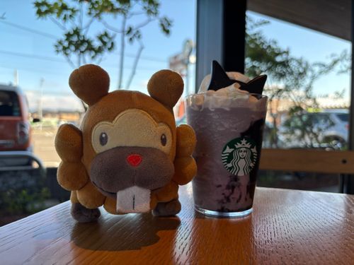 すたばで、無料くーぽん当たったぶも！トールサイズなんでもただ！黒猫ふらぺちーのもらった！さわやかでうまかったぶもっ🥺