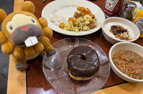 アメリカ、ちゃくりくぶも！ホテルであさごはん！あまーいドーナツあると、アメリカ感ある！豆がうまくておかわりしたぶもっ🥺