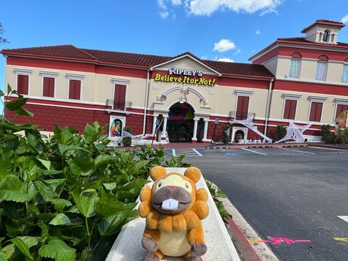 とりっくあーとの建物…へんてこぶも！地面は平らで、建物がななめ！目が変になるぶもっ🥺