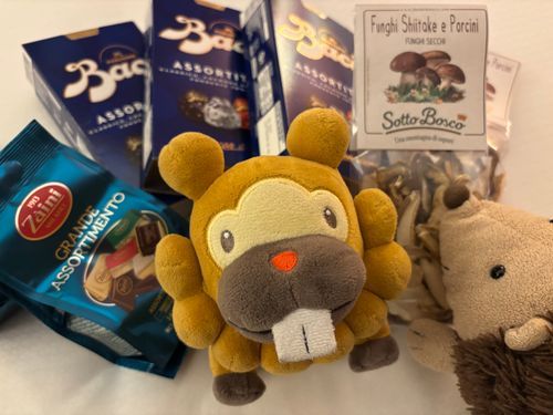 おみやげ買って、日本に帰るぶも！チョコとチョコと、乾燥ポルチーニ…のつもりが、しいたけとのミックスだった！ぶもっ🥺