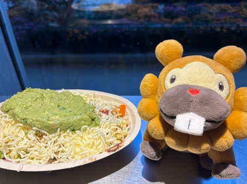 ちぽとれ、ってお店にきた！タコライスのすごいばん！具のくみあわせを全部ちゅーもんしなきゃだから、きんちょーしたぶもっ🥺