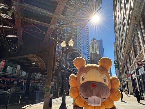 シカゴついたぶも！道の２階をでんしゃがはしってる！太陽ぎんぎらのお写真だけど、さむい！ぶもっ🥺