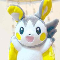 ちゃちゃマル