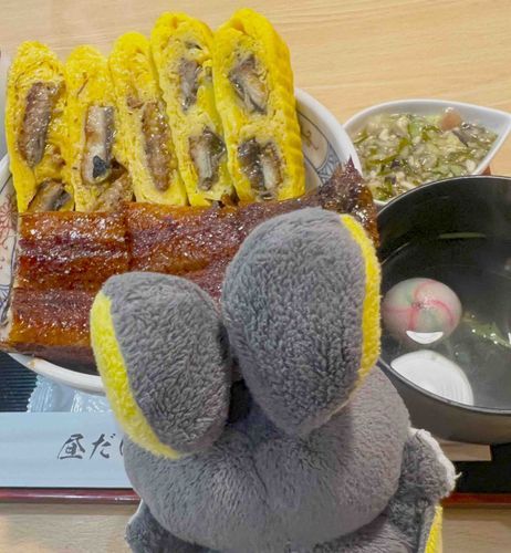 うなぎだーーーーーっ