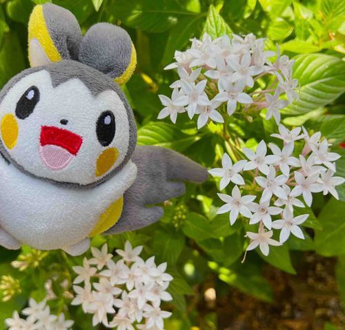 おはな！