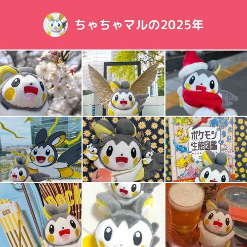 ちゃちゃの2025！