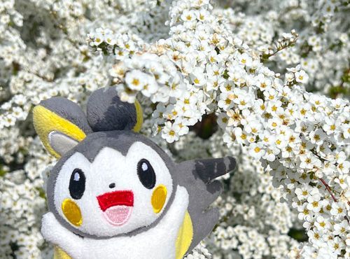 おはな！