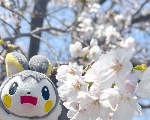 でっけえでっけえ春❗️