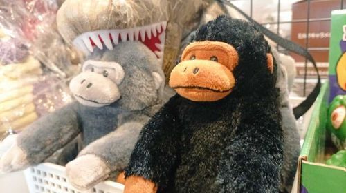 まだ先のことだけれど、この街を離れる予定があって、ここに来るたびに眺めていた。でかいものに噛まれても平気そうですごくかっこいいな。