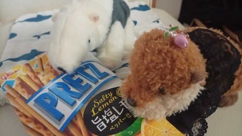 ずっと守ってくれてありがとう。あしたはお休み、どこに行こうか。