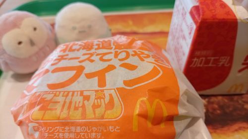 ふくちゃんとおやまを連れて朝マックにきました。