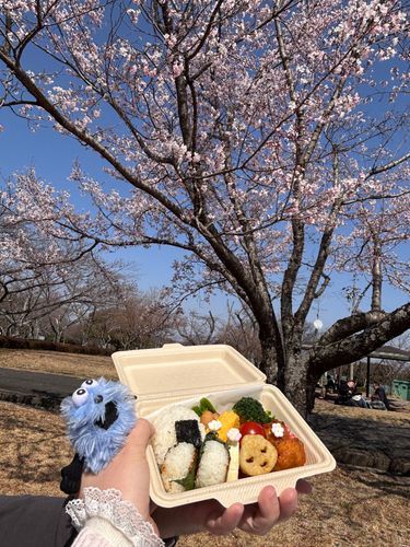 ちょっと早めのお花見ピクニックしに行ったときの
