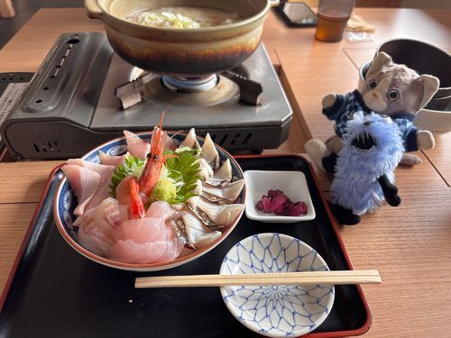 もちぬしが産まれた時から一緒の先輩ぬいぐるみと富山観光したよ