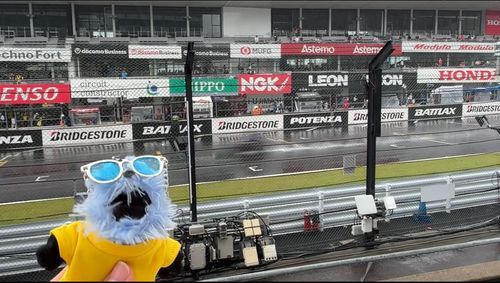 お出かけ先は鈴鹿8耐！
暑さ対策にスンスンと持ち主と持ち主の男でおそろいのサングラスにしたのにずっと雨だったね
けど初めてのバイクレース観戦楽しかったね また来年
