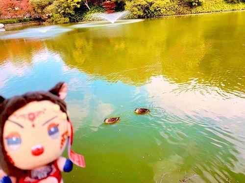 🦆