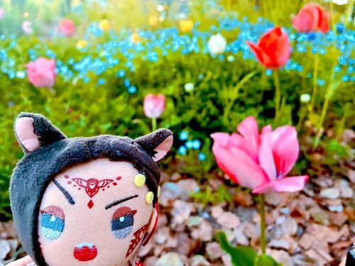 🌷