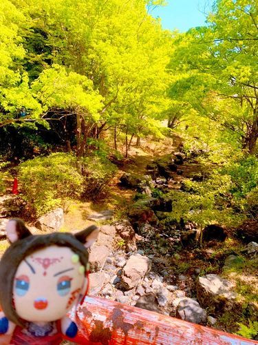 🌳