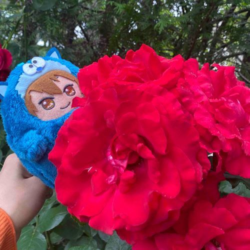 💙みてみてー！おーきい！