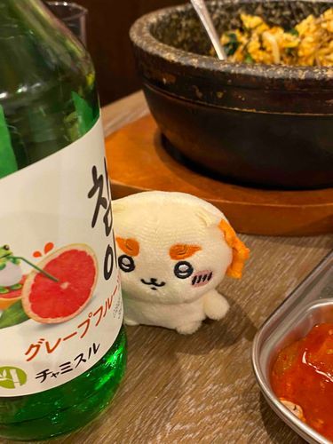 韓国料理で〜す