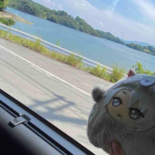 🩶ガガガガガ、ガガ。ガガガガガ。ガガ、ガガガ。(たいふうってヤツがくるから、はやく かえってきた。マツリにいけなくてざんねんだ。おまえらも、きをつけろよ。)