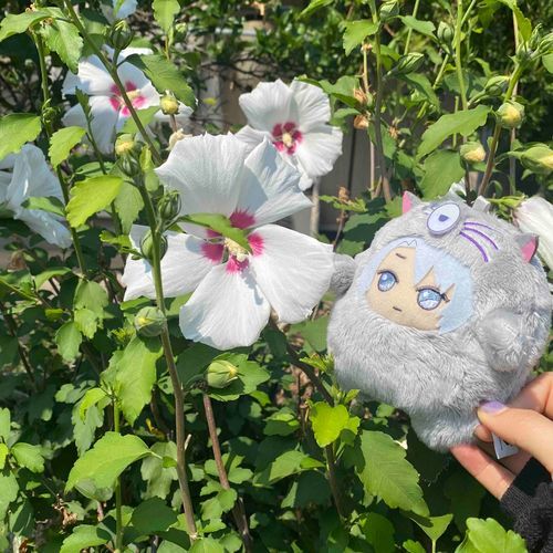 🩶「ガガガ、ガガガガガ。ガガガ、ガ。(デカくてイケメンな、オレのたんじょーびだってな。おめでとう、オレ。)」