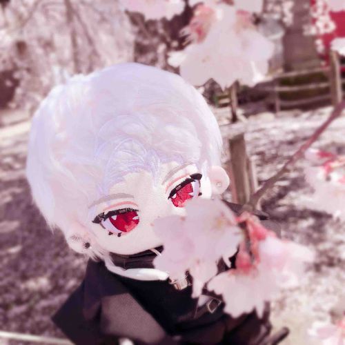 そろそろ桜の季節だな 𓂃🌸𓈒𓏸