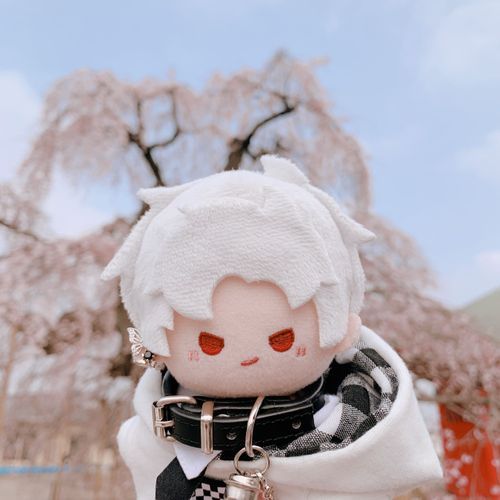今年も行ってきたぞ🌸