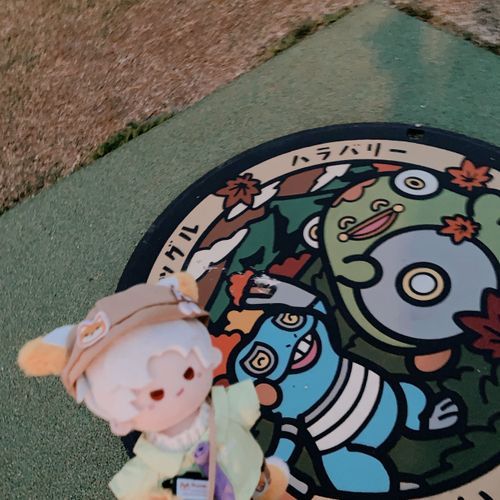 ポケふたがあった 📷 ´-
