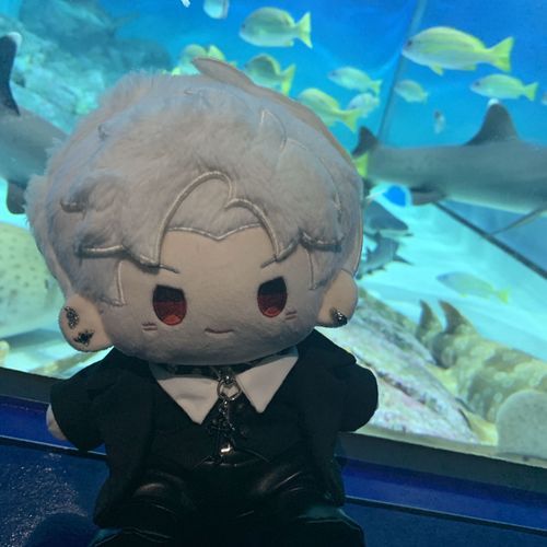 魚、綺麗だったな。主も癒されてて俺も満足だぜ °･🐠 病が完治したら、またもっと色んな場所に行こう、俺と一緒にな。
