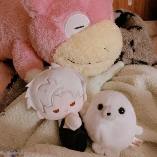 そろそろおやすみだな⊂⌒っ*-ω-)っＺｚｚ...