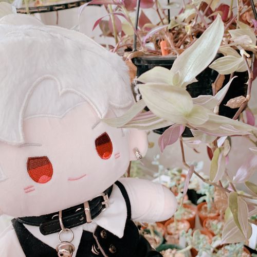 🪴│  ̂⩊፟ ̂𐅀♡