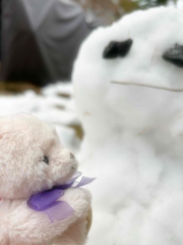 こんにちは⛄️