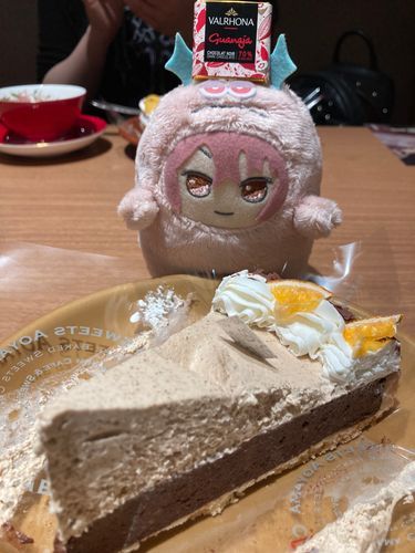 フィルムを剥がしてから写真を撮ってなかったことに気付いた食い意地を張っている飼い主とチョコを貰って喜ぶモン🍫