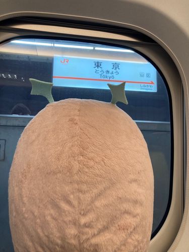 今日1日付き合ってくれてありがとね🥹