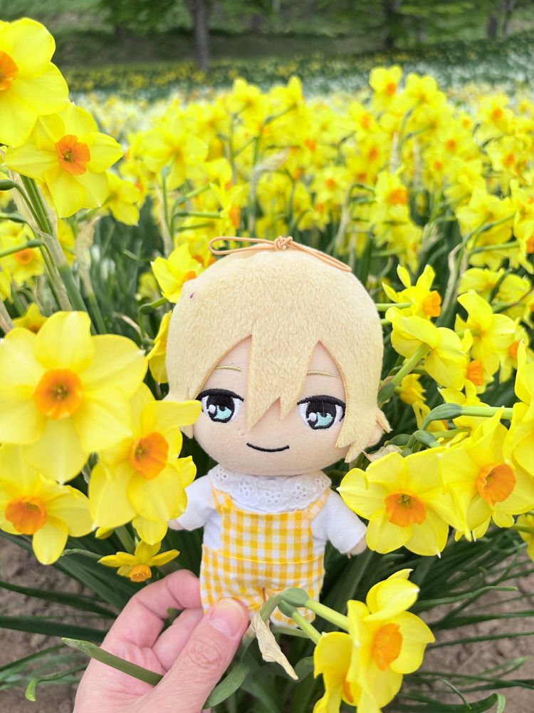 マヨちゃん