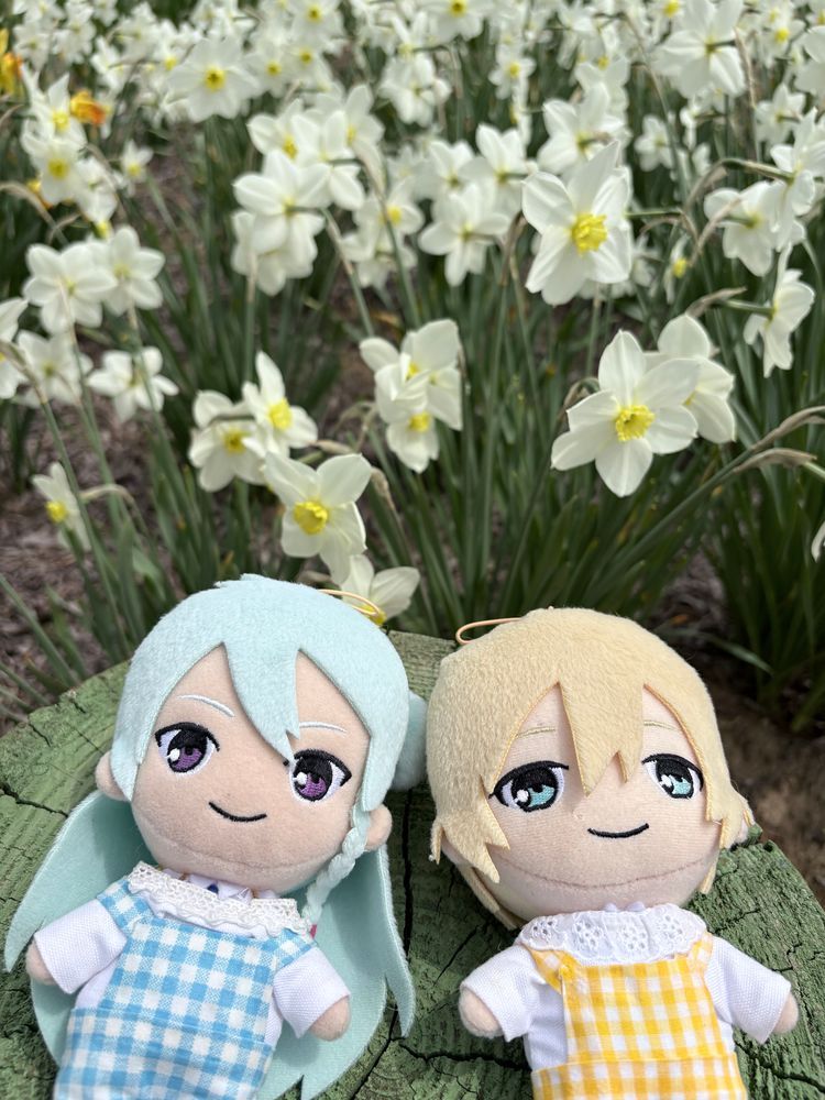 マヨちゃん